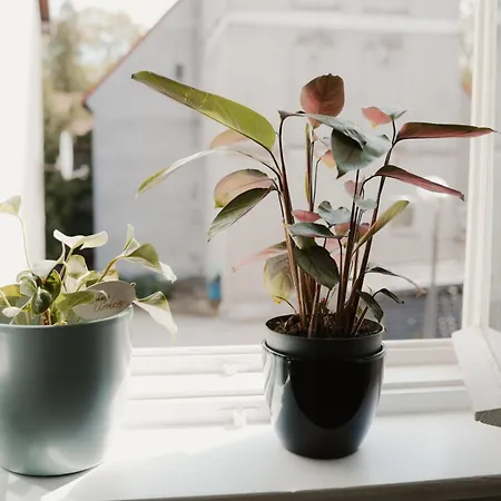 شقة Pw مارونجوفو